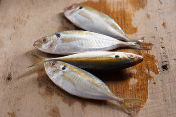 yellowstripe scad fish.