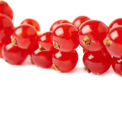 Red Currant isolated over white background
