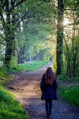 Spatziergang im Wald