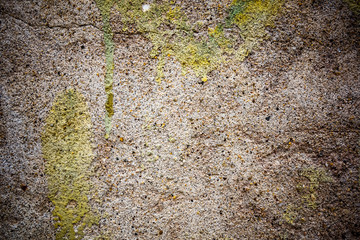 grungy wall Sandstone surface background