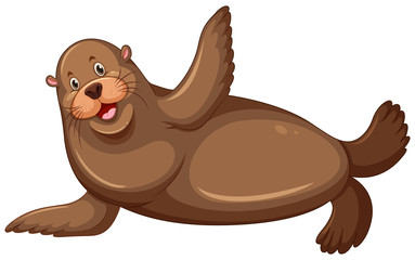 Sea lion with happy face