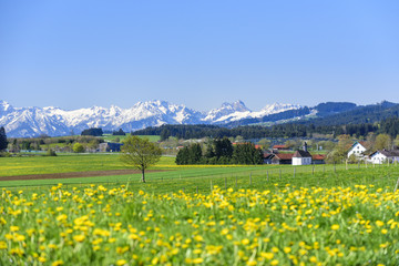 Frühling im bayrischen Alpenvorland