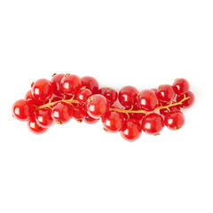 Red Currant isolated over white background