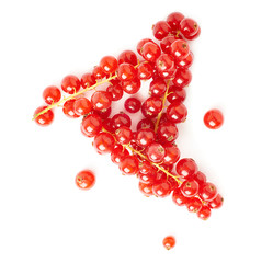 Red Currant isolated over white background