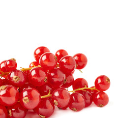 Red Currant isolated over white background