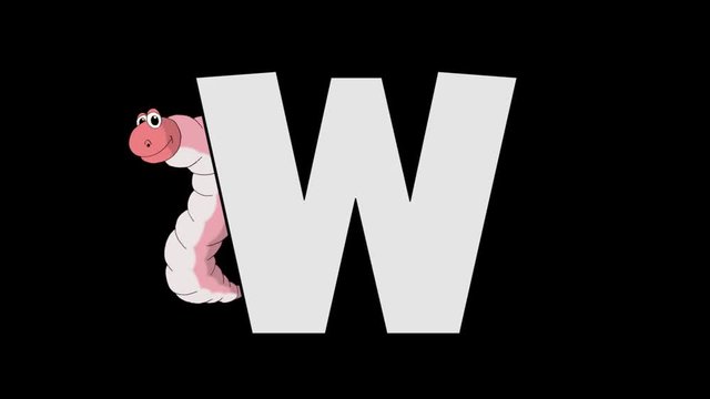 Letter W and  Worm  (background)
Animated animal alphabet. HD footage with alpha channel. Animal in a background of letter.