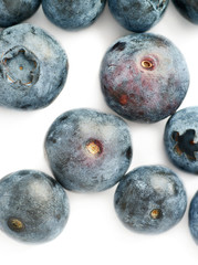 Bilberry or blueberry over white background