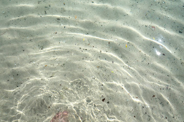 water texture