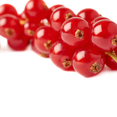 Red Currant isolated over white background