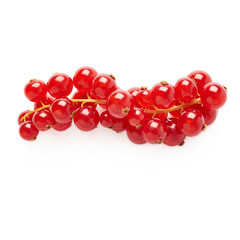 Red Currant isolated over white background