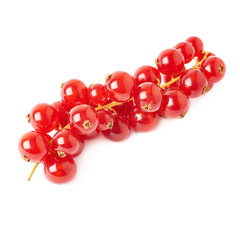 Red Currant isolated over white background