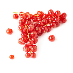 Red Currant isolated over white background