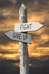 Fight or give up signpost - obrazy, fototapety, plakaty
