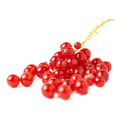 Red Currant isolated over white background