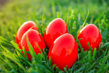 Fototapeta na wymiar Red Easter Eggs in green grass