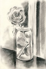 A single rose in a vase - Charcoal drawing