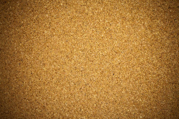 Background cork board.