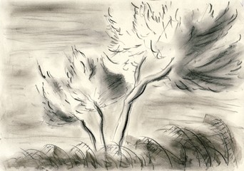 Trees by the seashore - Charcoal drawing