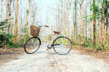 Fototapeta na wymiar Beautiful vintage bicycle in the forest.