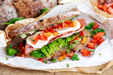 Fresh Sandwich with Bacon Lettuce Tomato and Mozzarella