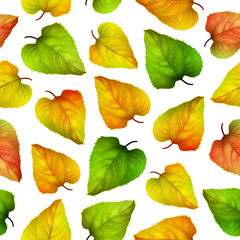 Seamless vector background, colorful autumn leaves, vector illustration