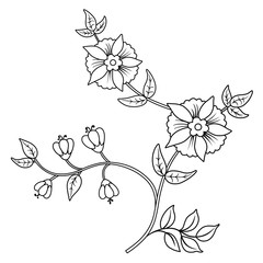 Decor floral elements set