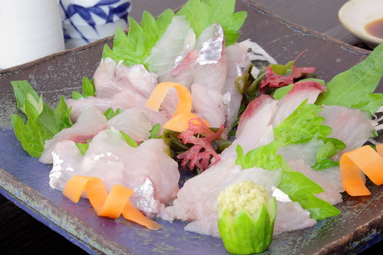 刺身　飛び魚　日本酒　酒の肴　晩酌