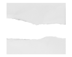 Torn pieces of paper