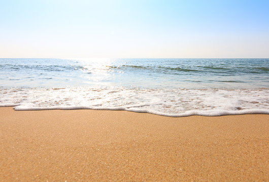 tropical beach
