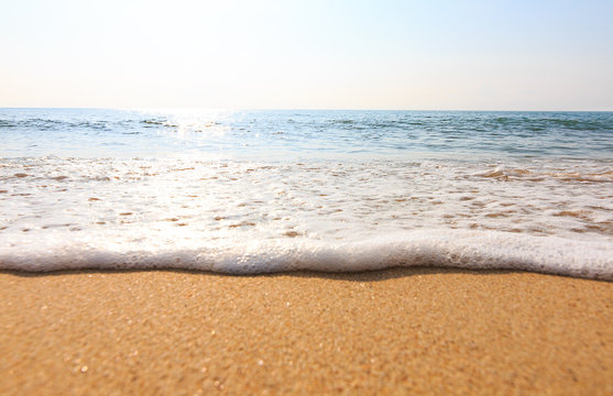 tropical beach