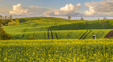 Pofalowane,wiosenne pole © Mike Mareen