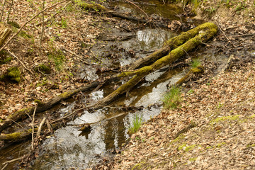 little creek at city park, Stuttgart