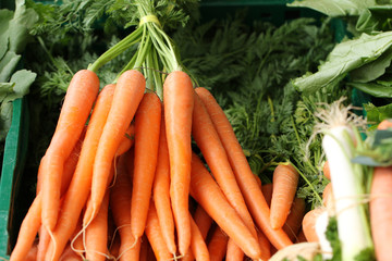 Bunt Karotten auf dem Gemüsemarkt