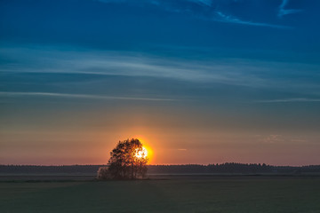 Sun Sets Behind The Trees