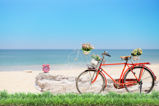 Old red bicycle with basket and flowers with green grass and ala