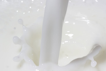 milk splash 