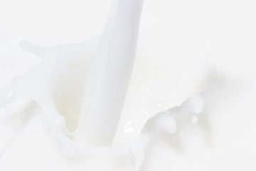 Fototapeta na wymiar milk splash 