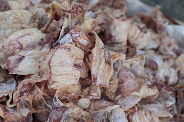 dried squid for cooking in the market.