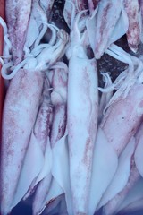 Obraz premium fresh squid for cooking in the market.