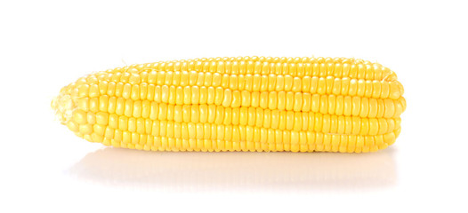 One Yellow Corn on white background.