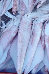 Obraz premium fresh squid for cooking in the market.