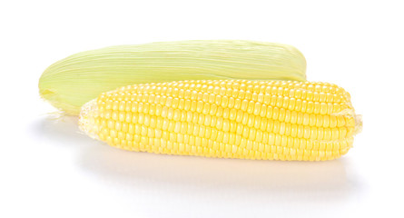 Two Yellow Corn on white background.