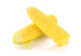 Two Yellow Corn on white background.