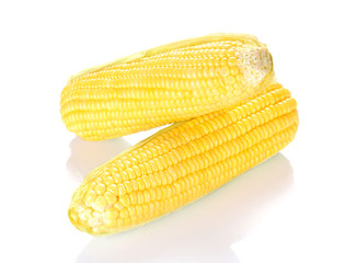 Two Yellow Corn on white background.