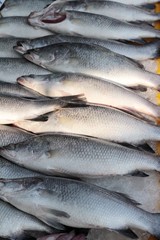 Fresh fish for cooking in the market.