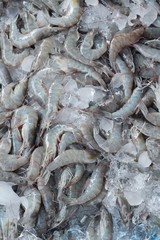 Fresh shrimp for cooking in the market.
