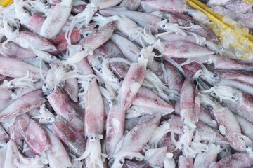 fresh squid for cooking in the market.