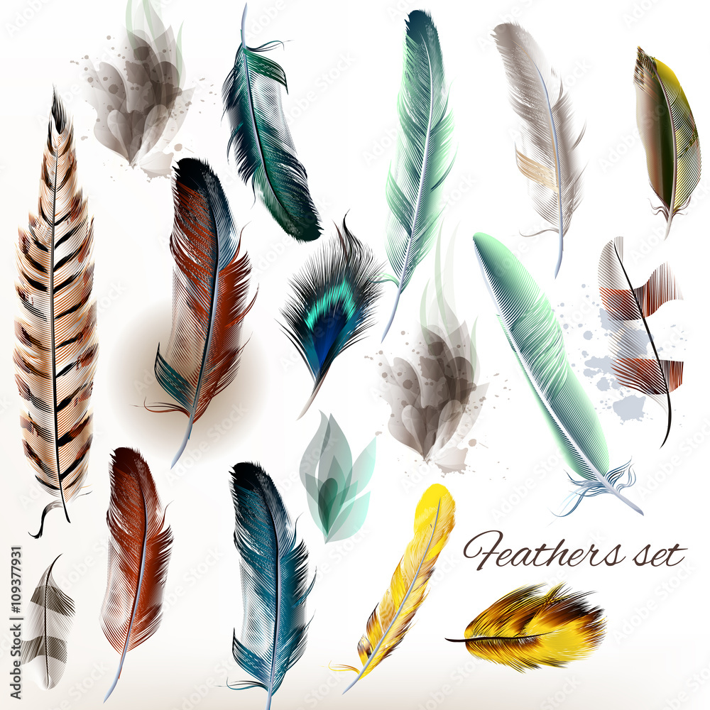 Aufkleber set of vector realistic colorful feathers