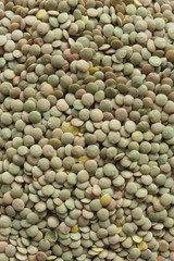 Lentils pulse grain legume vegetables
