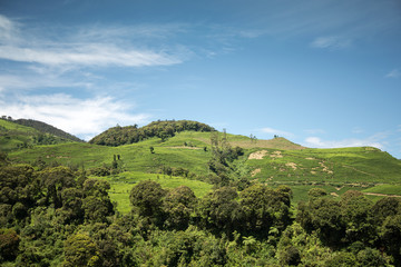 Beautiful hill with blue sky
